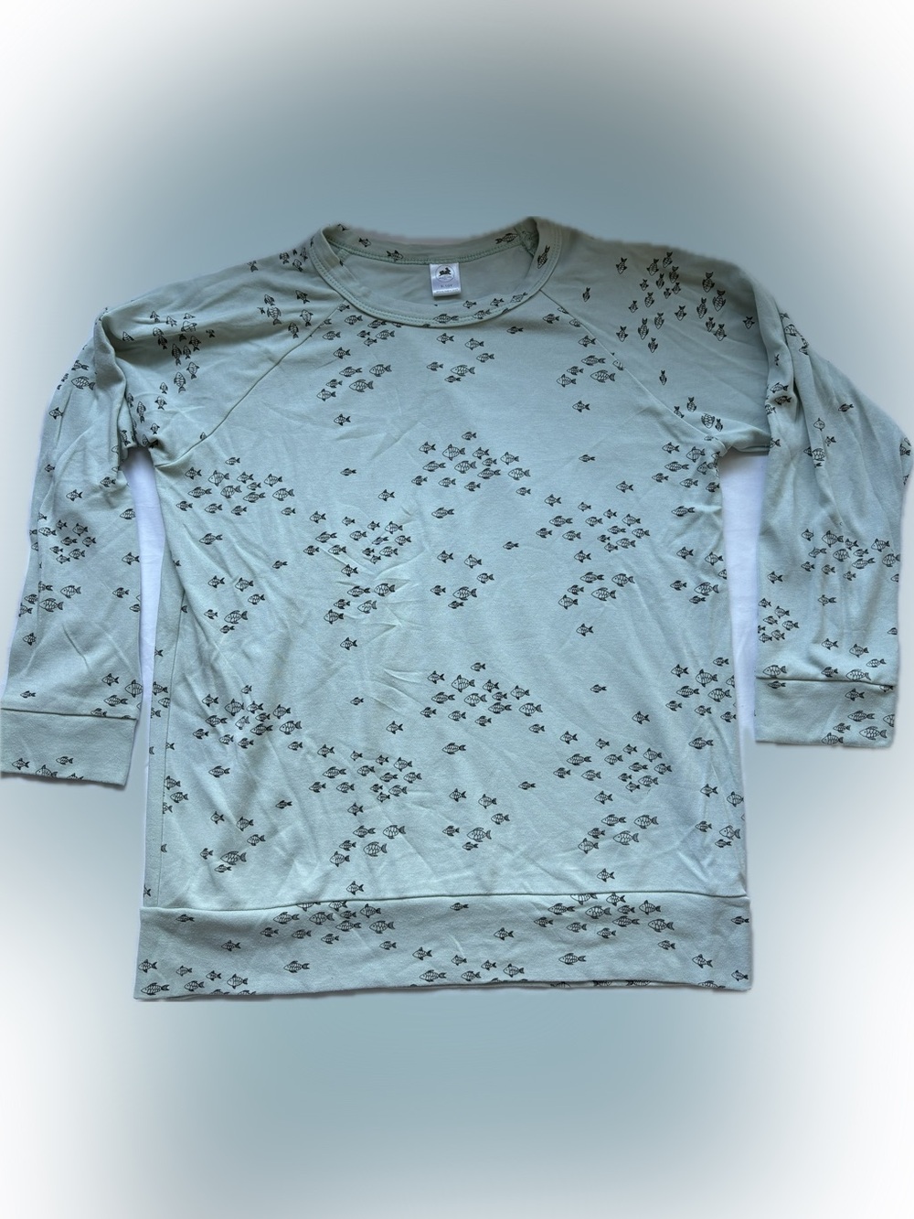 ✨ Little & Lively Youth Bamboo Raglan Pullover - School of Fish ✨